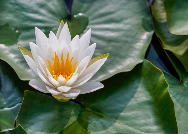 Image for article Працівники житлового комітету прислухалися до мене і перестали допомагати переслідуванню