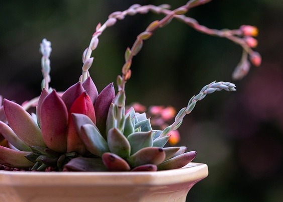 Image for article Думати насамперед про інших, коли щось робиш