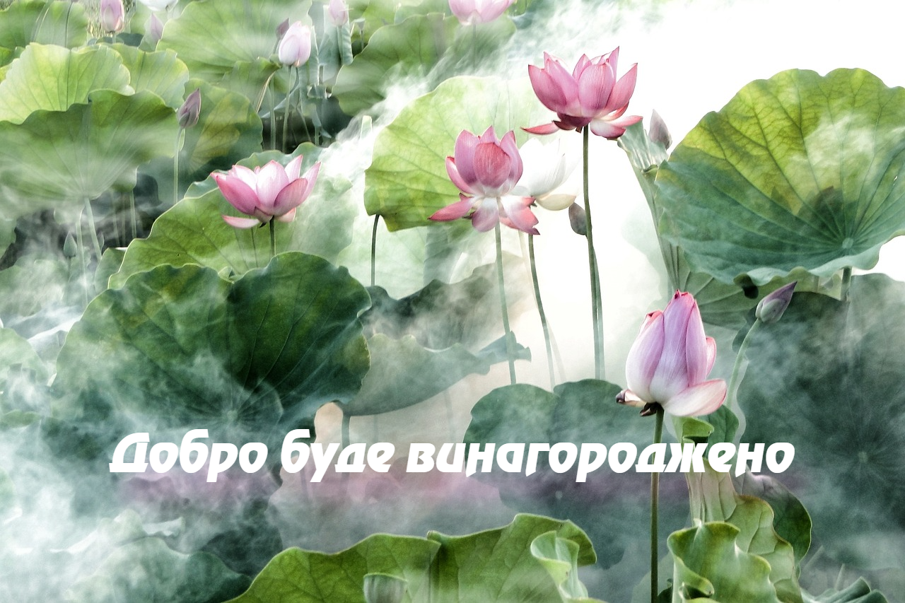 Image for article Рак горла зник після відмови дати помилкові свідчення проти Фалуньгун