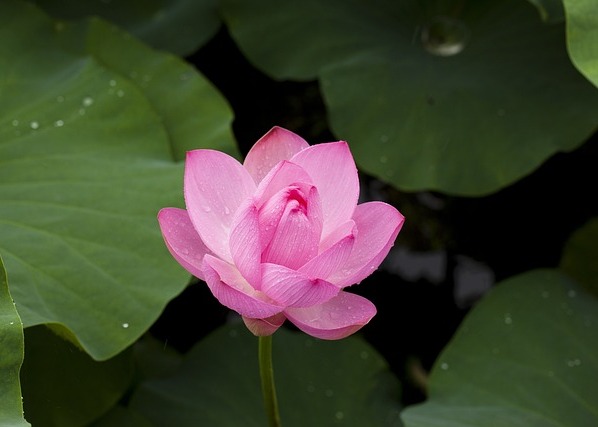 Image for article Люди з напередвизначеністю дізнаються про Фалунь Дафа в центрі ув'язнення