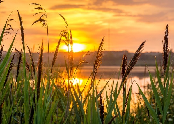 Image for article Нестерпні сімейні стосунки стали гармонійними після того, як я почала практикувати Фалунь Дафа